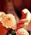 livejasmin 手机版（jasmin des anges）