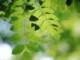 三星s7有没有虹膜识别(三星s8虹膜识别)