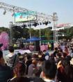 什么手机卡最好（电信新圣卡19元申请）
