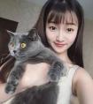iphone录音放不了(iphone录音不见了)